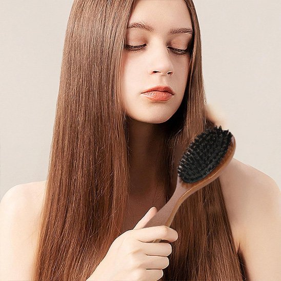 Brosse poil de sanglier- manche en bois 